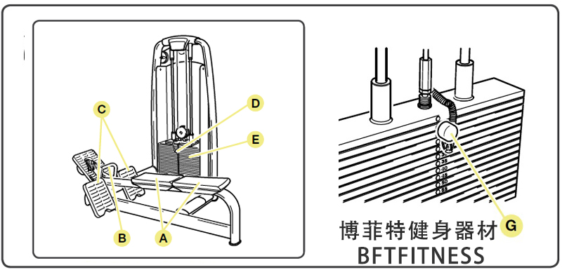 坐姿划船蜜桃在线电影