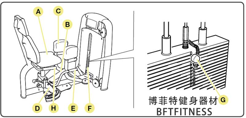 大腿外展外侧肌蜜桃在线电影